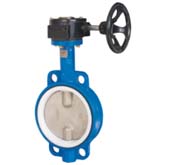 渦輪不銹鋼蝶閥